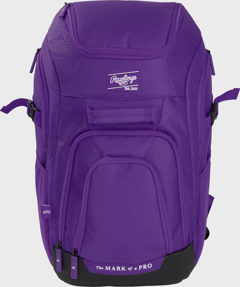 Franchise 2 Players Backpack, Purple