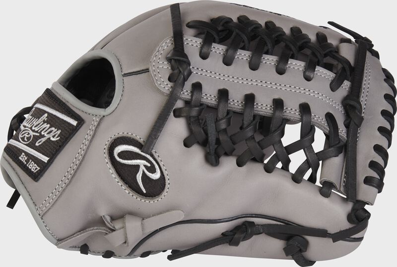 Foundation Series Aaron Judge Youth 12” Glove