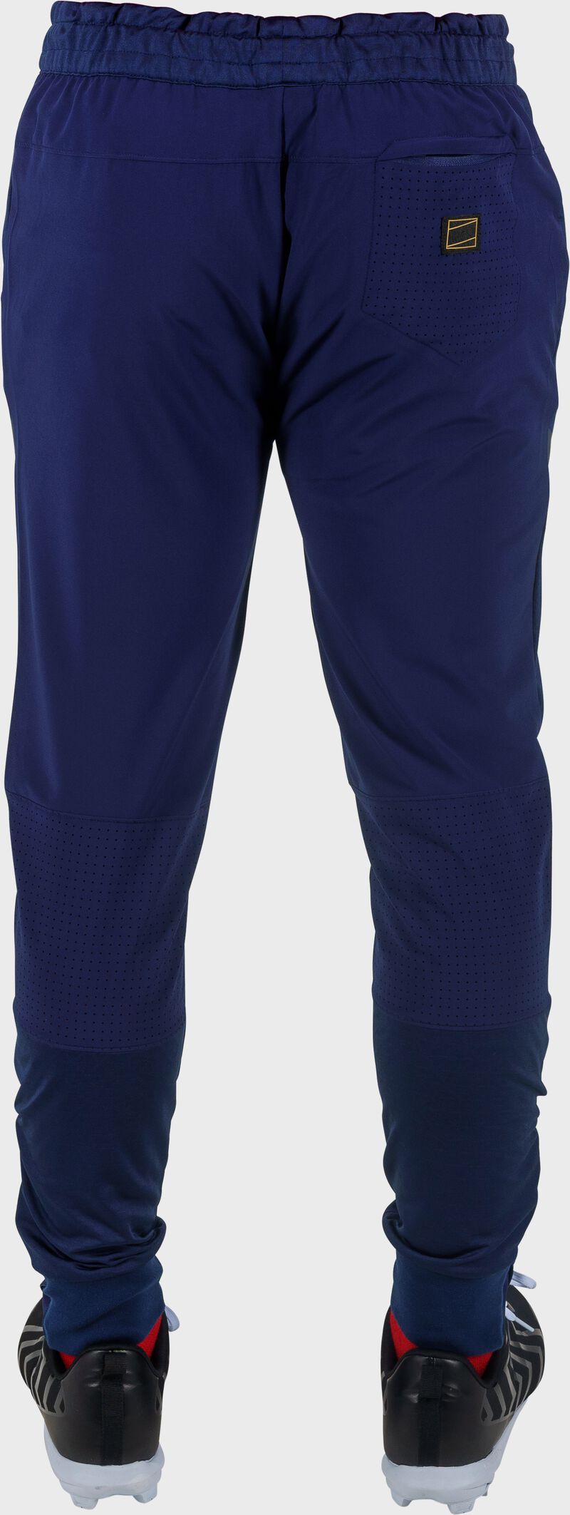 Rawlings Gold Collection Training Jogger Pant, Adult 2XL, Navy loading=