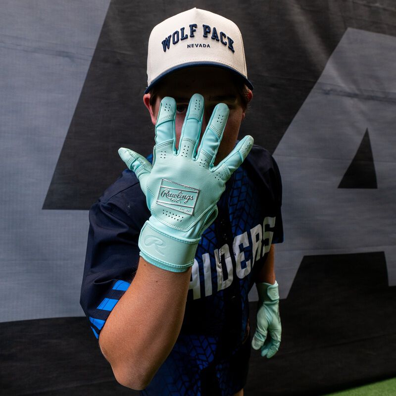 Rawlings Icon Batting Gloves, Adult