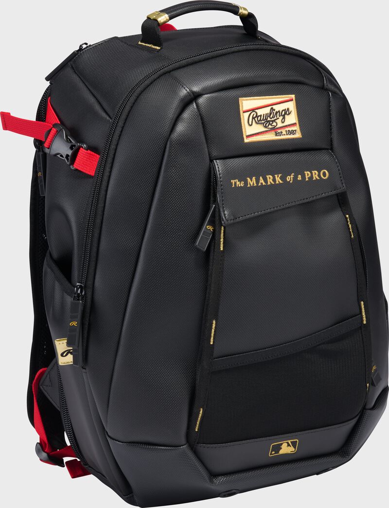 Rawlings Leather Gold Collection Utility Backpack