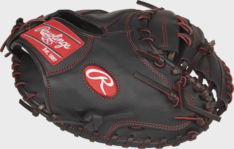 R9 Series 32 in Pro Taper Catcher's Mitt loading=