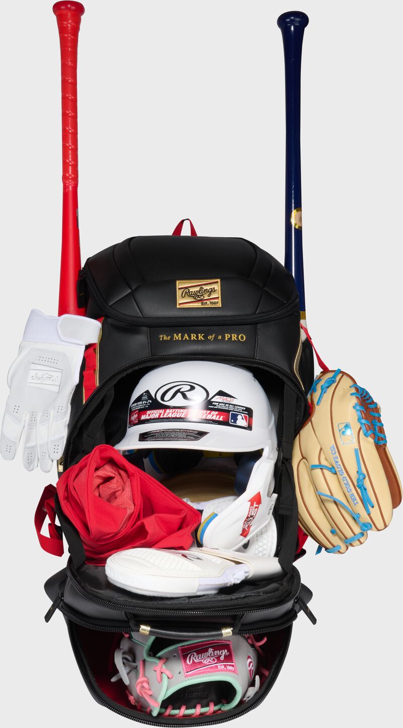 Rawlings Leather Gold Collection Backpack, Black