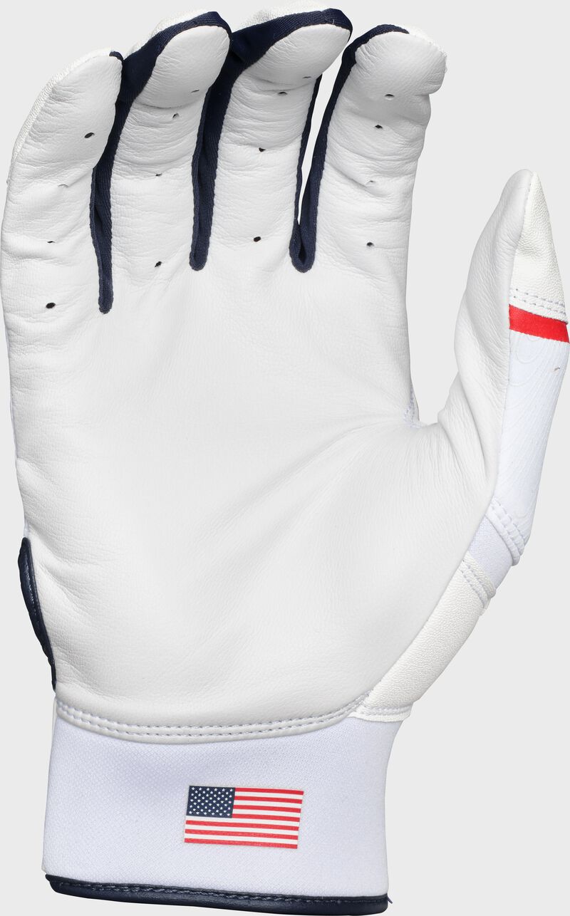 Back of a USA Clout batting glove loading=