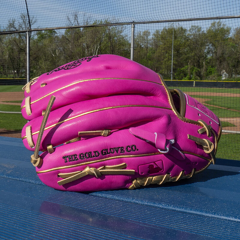 Picture of the back of an Exclusive 11.5" R2G Heart of the Hide Berry infield glove on a table