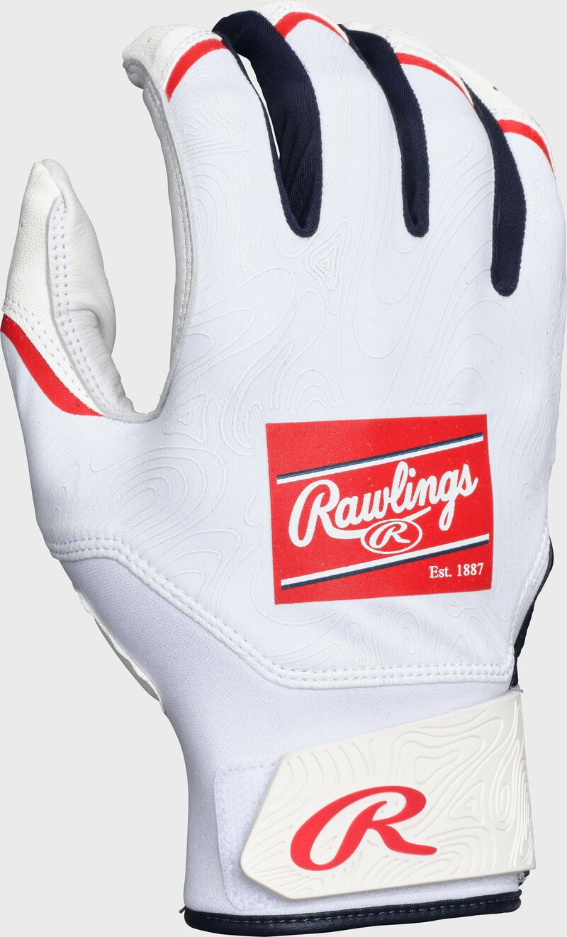Back of a USA Clout batting glove loading=