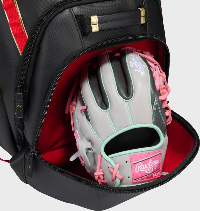 Rawlings Leather Gold Collection Backpack, Black