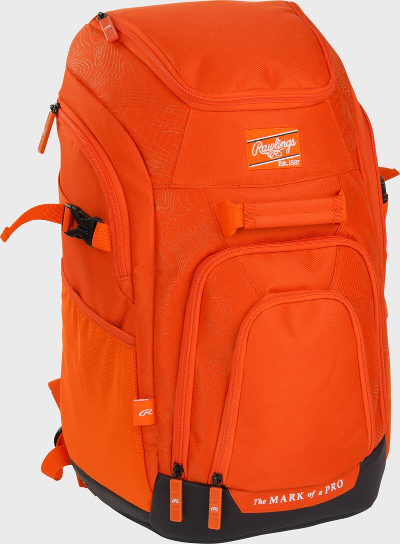 Franchise 2 Player's Baseball Backpack