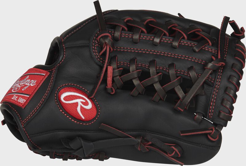 Web back view of black and red R9 Series 11.5-in Pro Taper infield/pitcher glove loading=