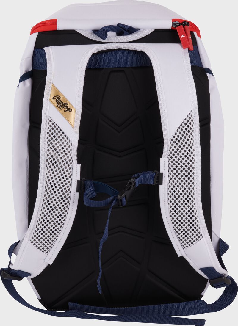 Rawlings Gold Collection Backpack, USA, RSGGCBKPK-US