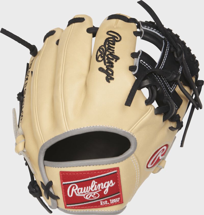 PRO200TR-2C 9.5-inch Heart of the Hide training glove with a camel back loading=