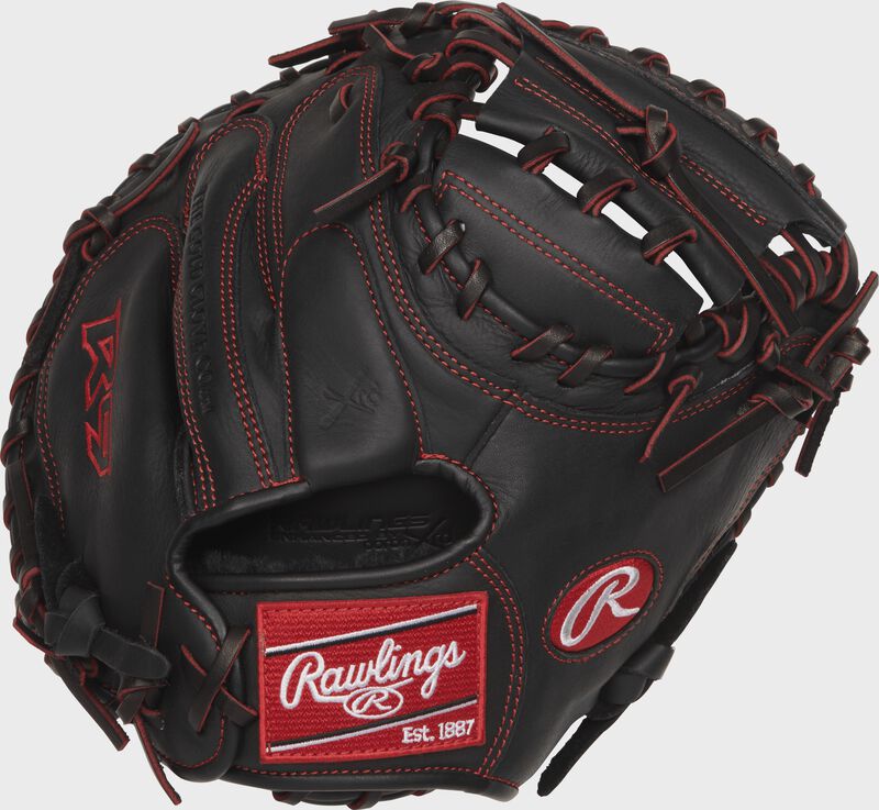 R9 Series 32 in Pro Taper Catcher's Mitt loading=