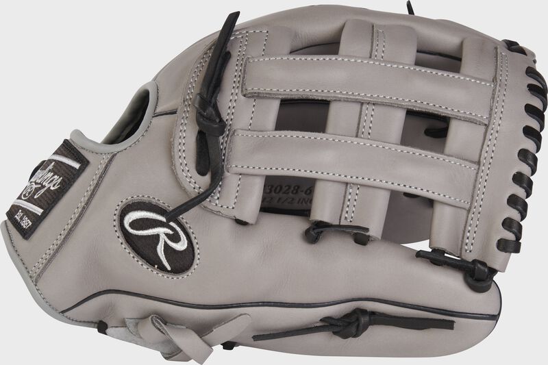 Foundation Series Aaron Judge Youth IF/OF Glove loading=