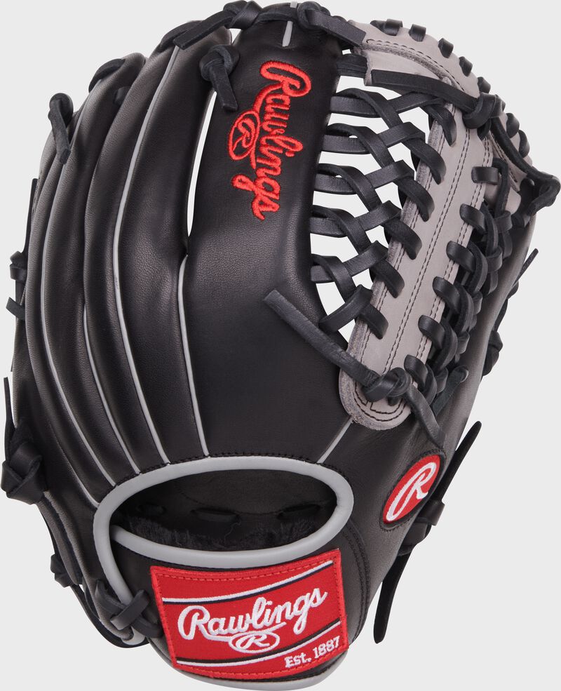 Black back of a Aaron Judge Foundation Series youth Modified Trap-Eze web glove with a red Rawlings patch - SKU: RSGRF206-4B loading=