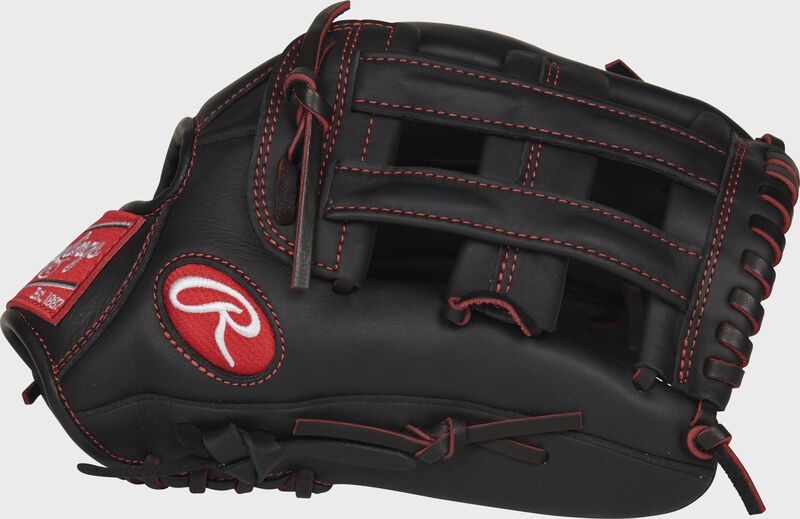 Web back view of black R9 Series 12-in Pro Taper outfield glove loading=